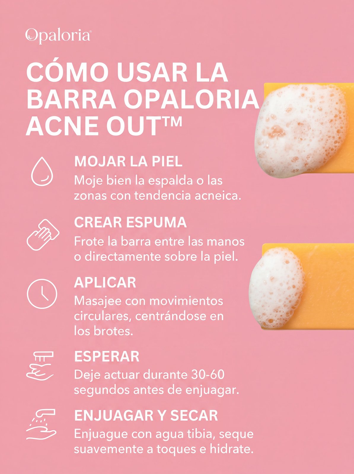 Cómo usar la Barra Opaloria en 5 pasos